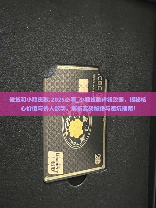 微贷和小额贷款