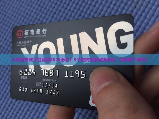 小黄鱼贷款平台