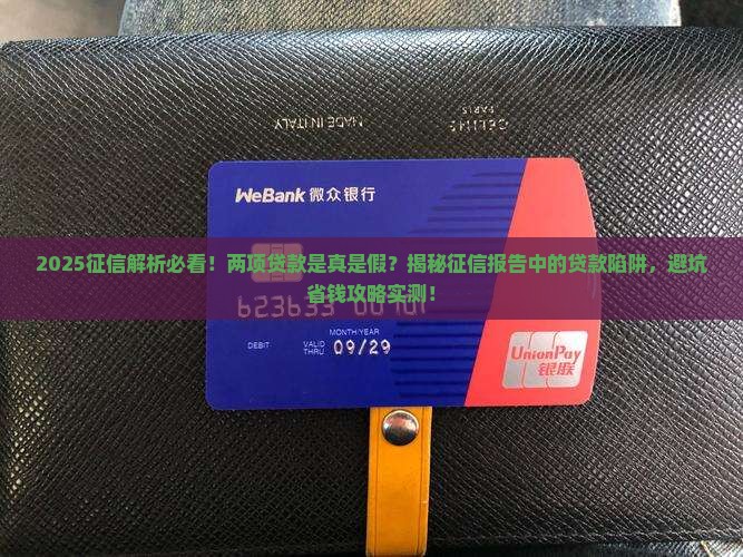 征信说有两项贷款