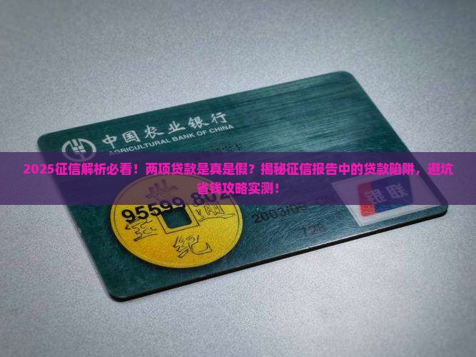 征信说有两项贷款