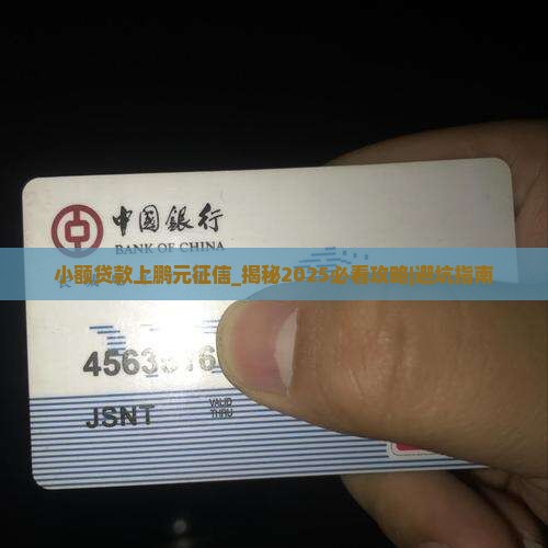 小额贷款上鹏元征信