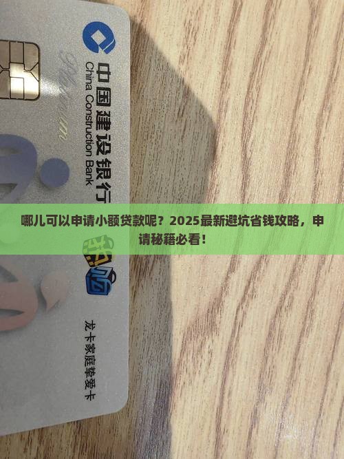 哪儿可以申请小额贷款呢