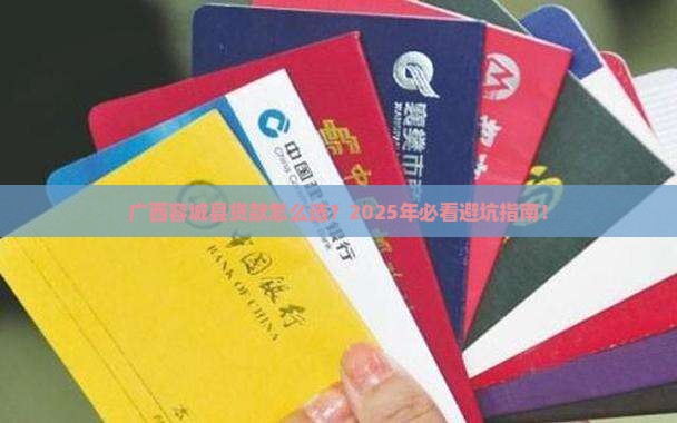 广西容城县小额贷款