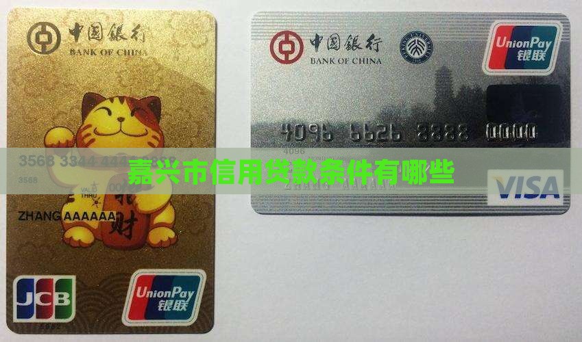 嘉兴市信用贷款条件有哪些