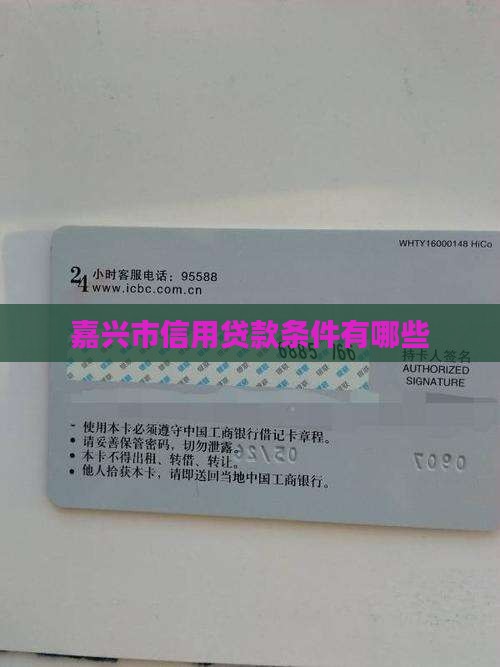嘉兴市信用贷款条件有哪些