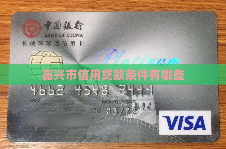 嘉兴市信用贷款条件有哪些