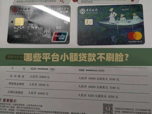 小额贷款不刷脸不面审