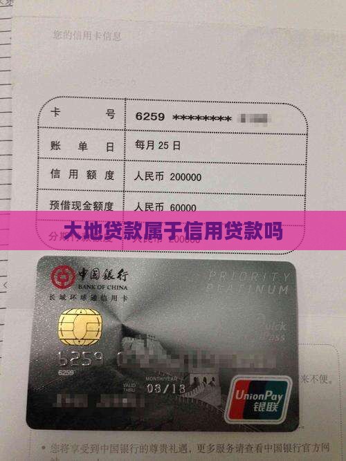 大地贷是信用贷款吗