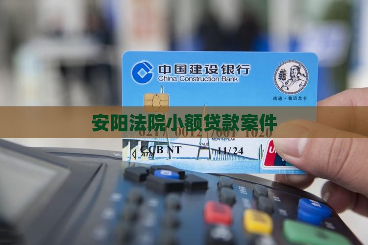 安阳小额贷款案件