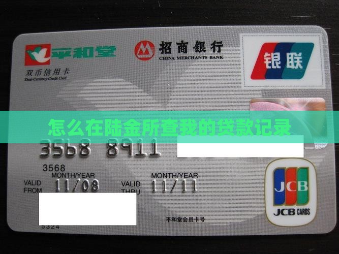 怎么在陆金所查我的贷款 怎么在陆金所查我的贷款