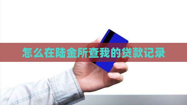怎么在陆金所查我的贷款 怎么在陆金所查我的贷款
