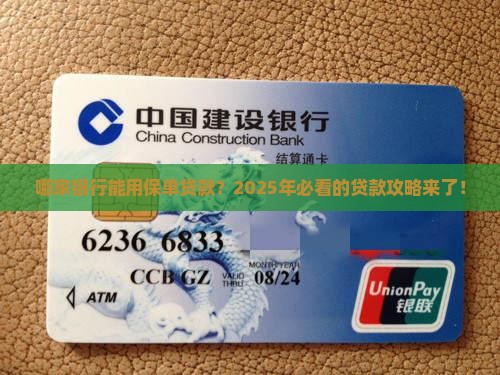 哪家银行用保单可以贷款