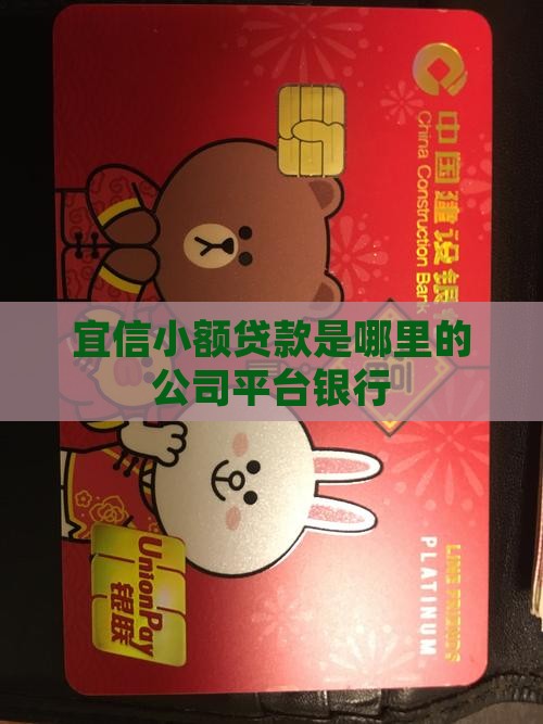 宜信小额贷款是哪里的