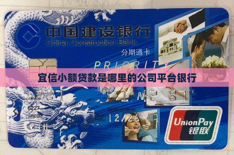 宜信小额贷款是哪里的