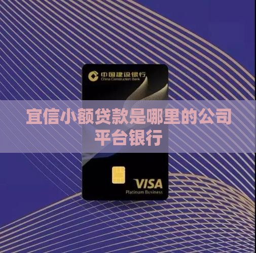 宜信小额贷款是哪里的