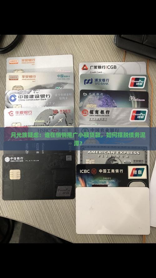 小额贷款鼓吹者