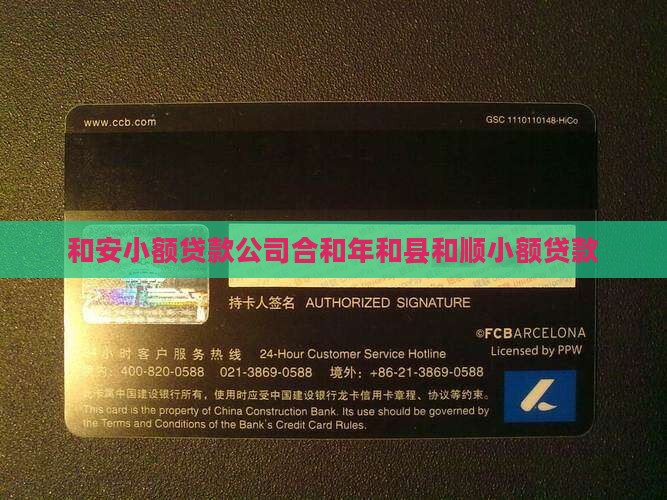 和安小额贷款