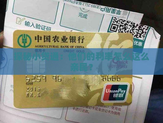小贷通贷款利率