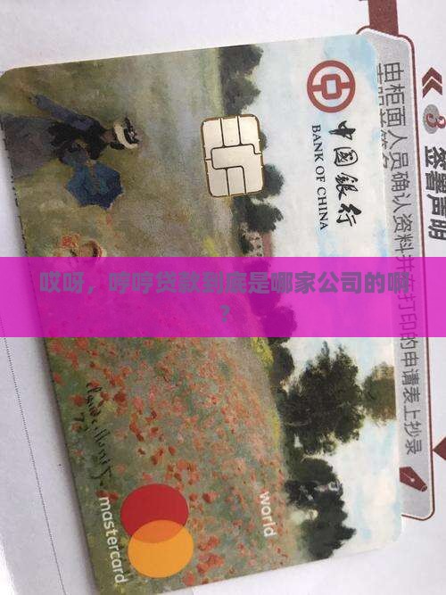 哼哼贷款属于哪个公司