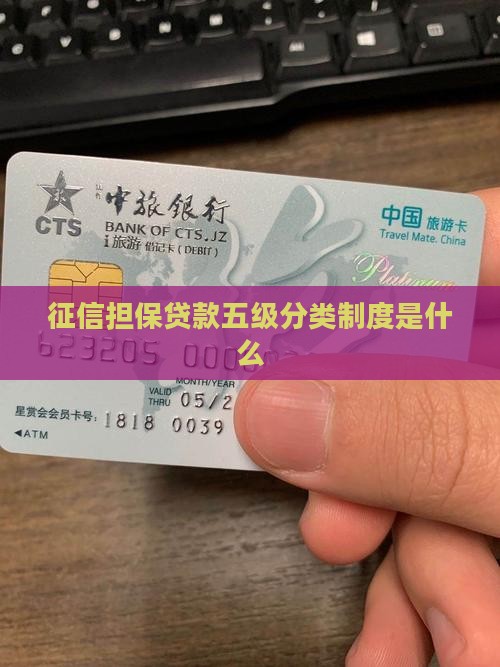 征信担保贷款五级分类