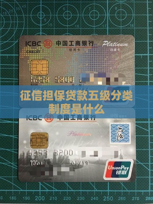 征信担保贷款五级分类