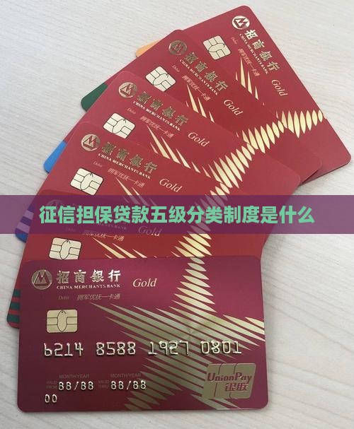 征信担保贷款五级分类