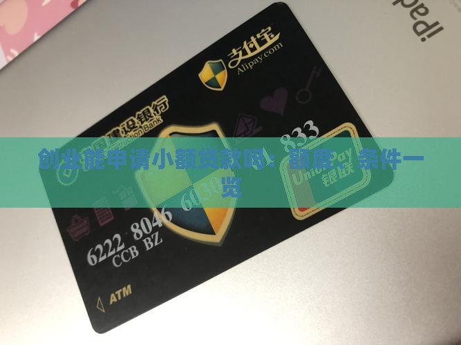 创业能申请小额贷款吗