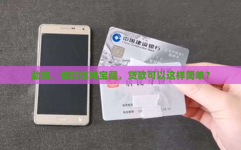 勐腊贷款信用公司