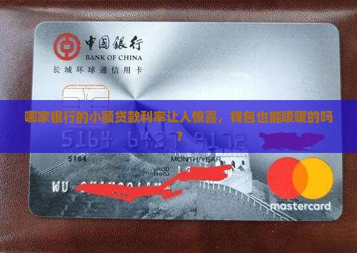 哪个银行小额贷款利率低