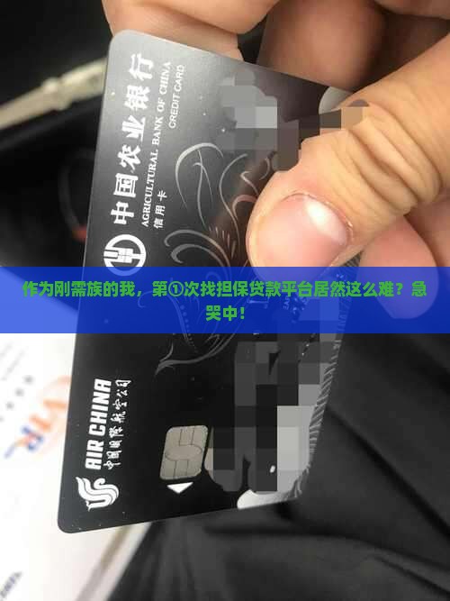 寻找担保贷款平台