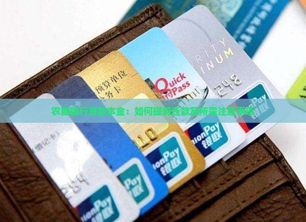 农商银行贷款本金