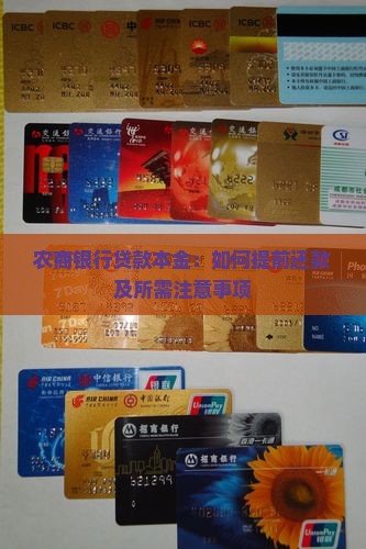 农商银行贷款本金