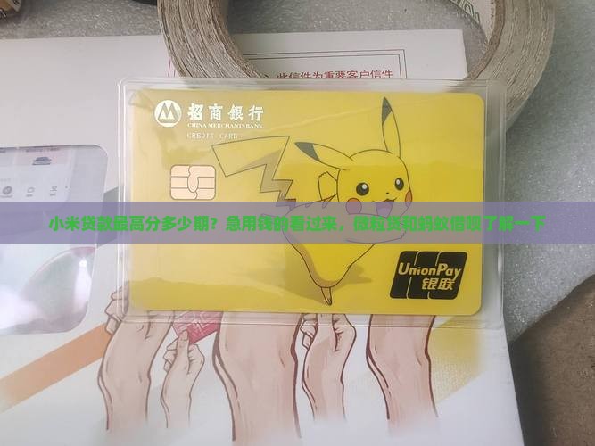 小米贷款最高分多少期