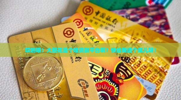 大胆花是什么贷款平台