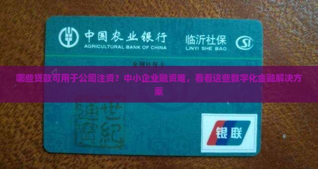 哪些贷款可用于公司注资