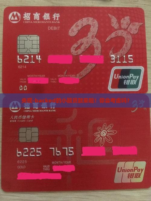 央视扶持的小额贷款