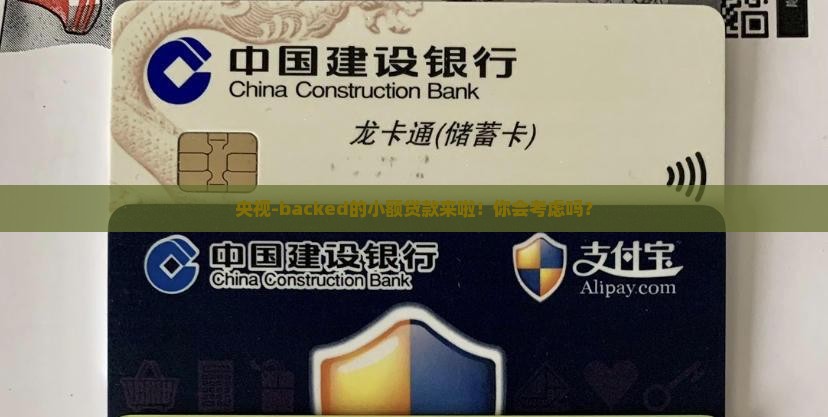 央视扶持的小额贷款