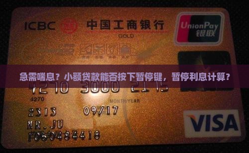 小额贷款可以停息挂帐吗