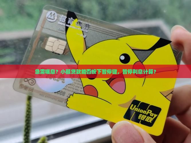 小额贷款可以停息挂帐吗