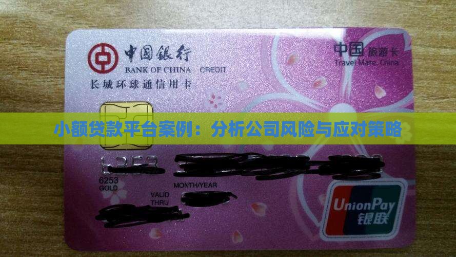小额贷款平台案例