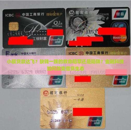 小额贷款达飞