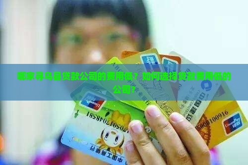 寻乌县贷款费用低的公司