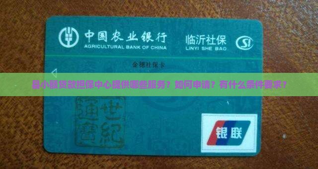 县小额贷款担保中心