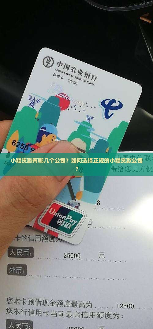 小额贷款有哪几个公司