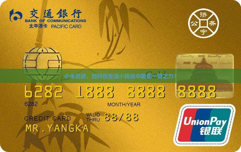小米贷款能干什么的