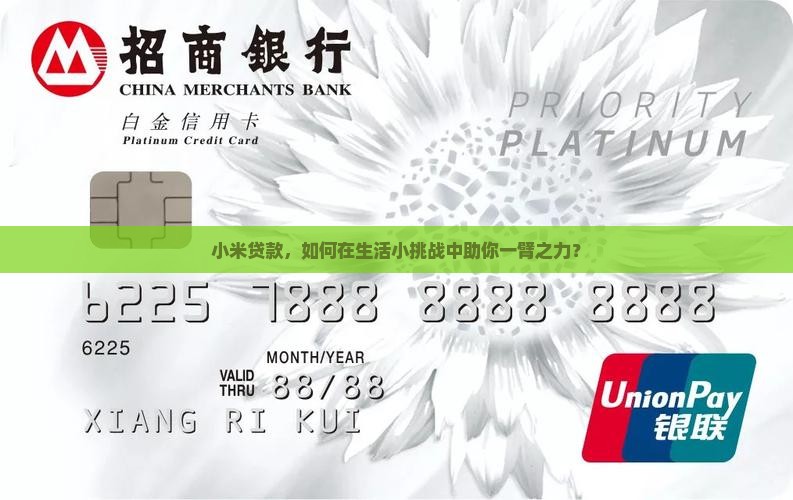 小米贷款能干什么的
