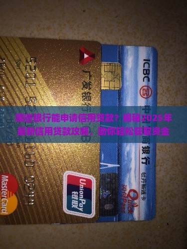 哪些银行能申请信用贷款