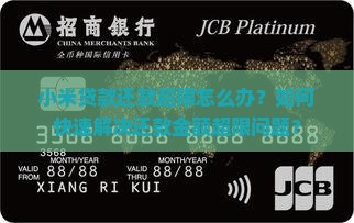小米贷款还款超限