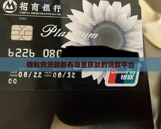 微粒贷贷款都有哪里