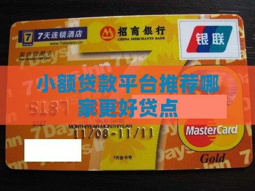 小额贷款平台哪个好贷点